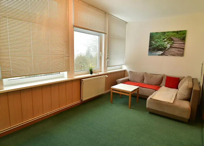 Apartment Grosse Und Moderne Im Erdgeschoss By Interhome Braunlage