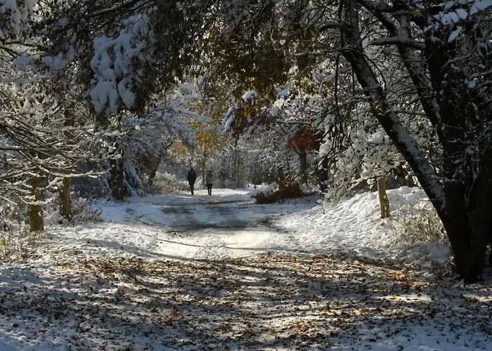 Apartment Grosse Und Moderne Im Erdgeschoss By Interhome