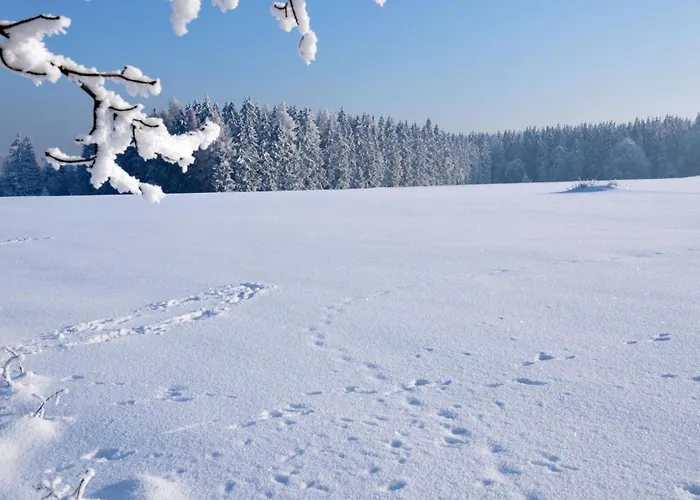 Apartment Grosse Und Moderne Im Erdgeschoss By Interhome
