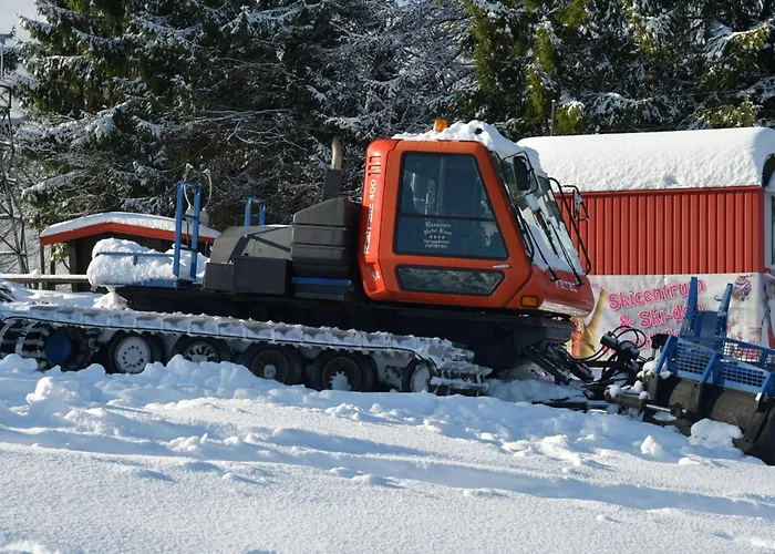 Apartment Grosse Und Moderne Im Erdgeschoss By Interhome *