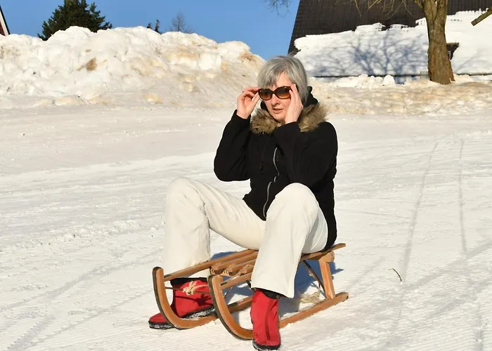 Apartment Grosse Und Moderne Im Erdgeschoss By Interhome