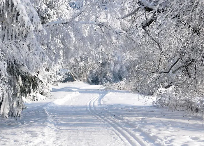 Grosse Und Moderne Im Erdgeschoss By Interhome Apartment *