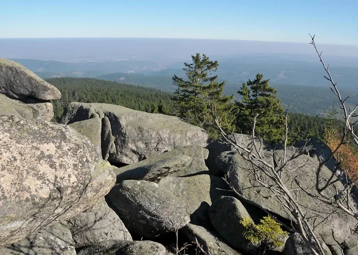 Grosse Und Moderne Im Erdgeschoss By Interhome Apartment Braunlage